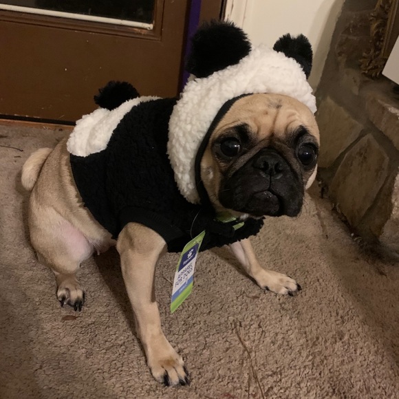 Top Paw Other - Panda hoodie